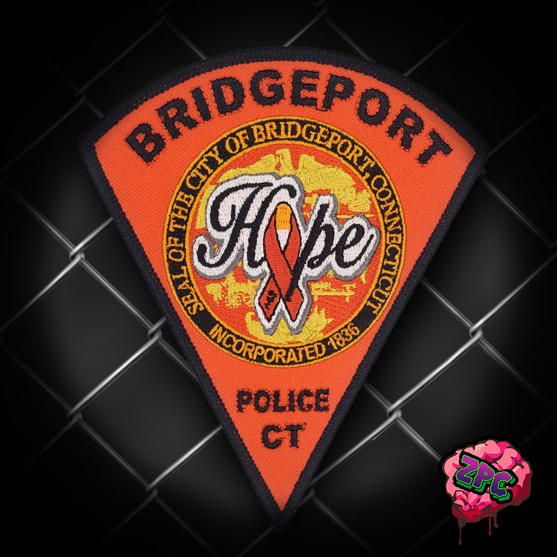 Multiple Sclerosis Awareness- BPD Support Patch 2022- "Hope for a Cure"